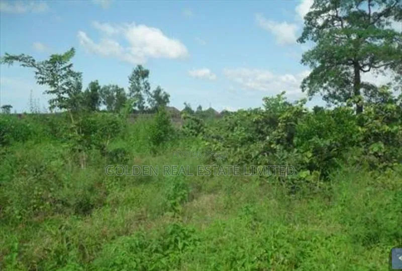 2 and Half Plots of Land in Ado Ekiti