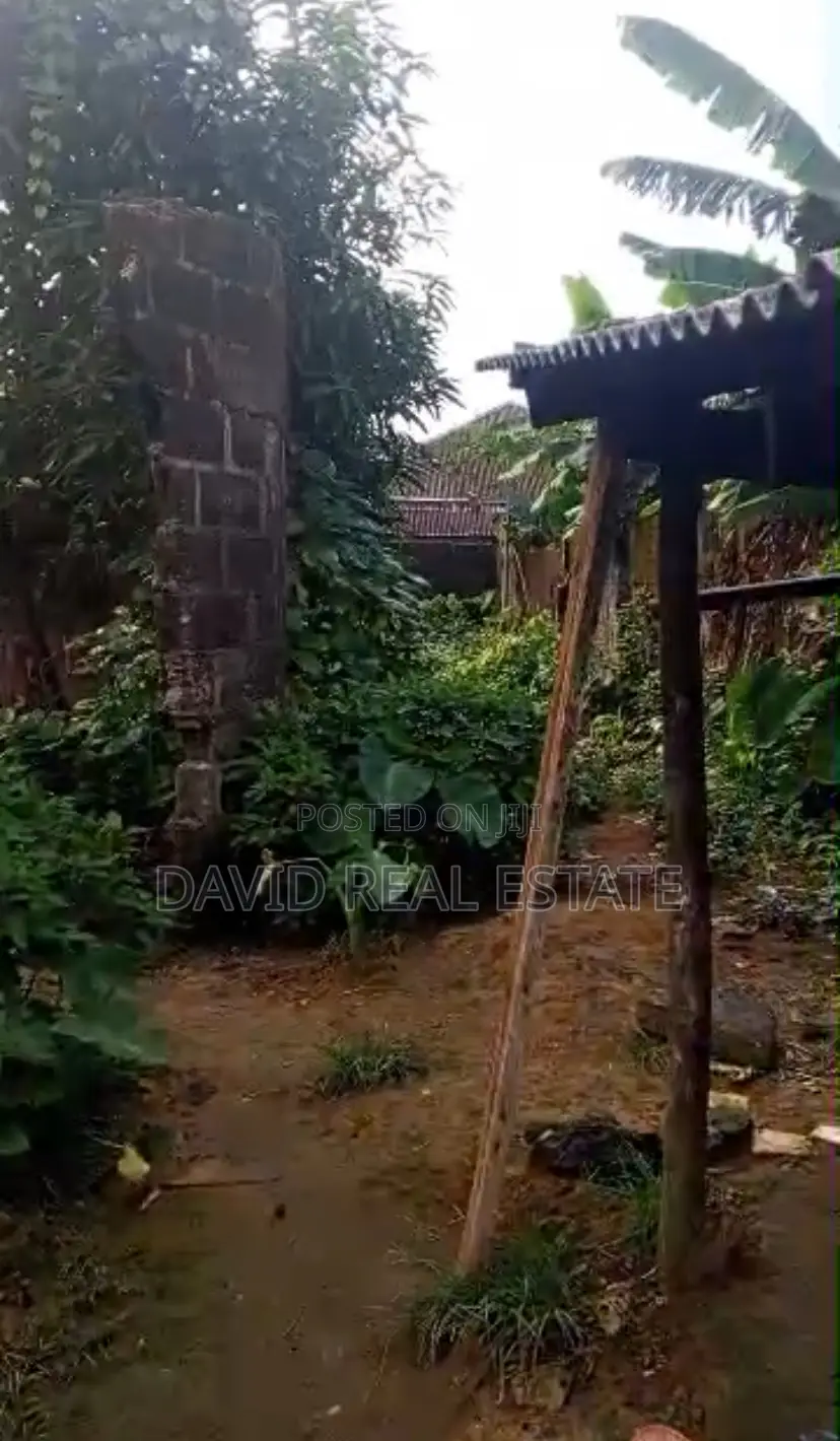 for Sale – Prime Land in Rumuwhara, Eneka in Eneka