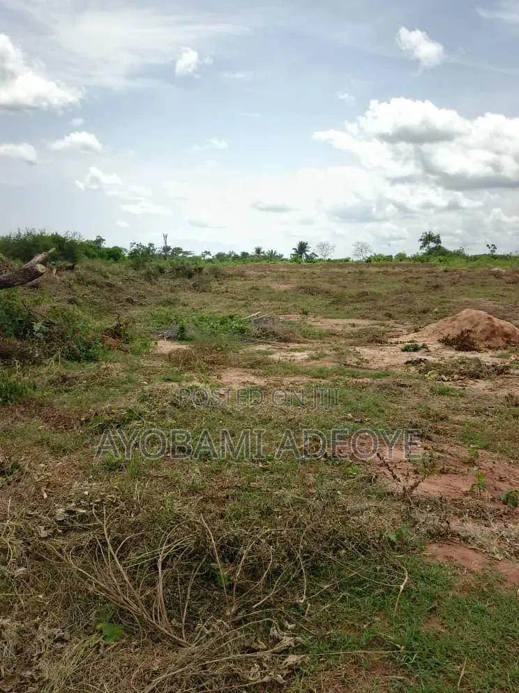 6 Plots Fence Together at Ifo in Ifo
