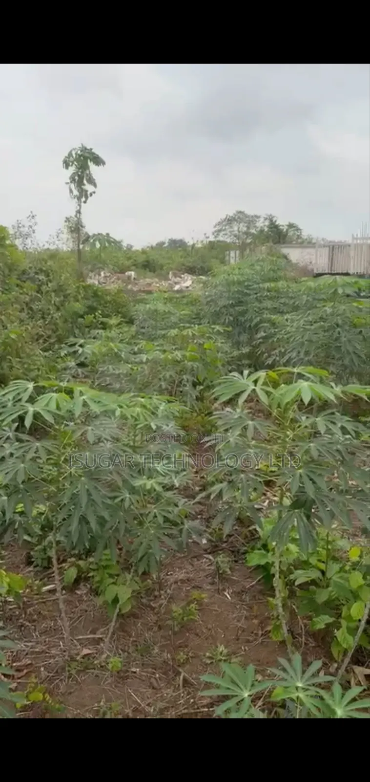 500sqm Land for Sale at Greenoak Garden, Along Ketu/Omu Road Epe L.G.A in Epe