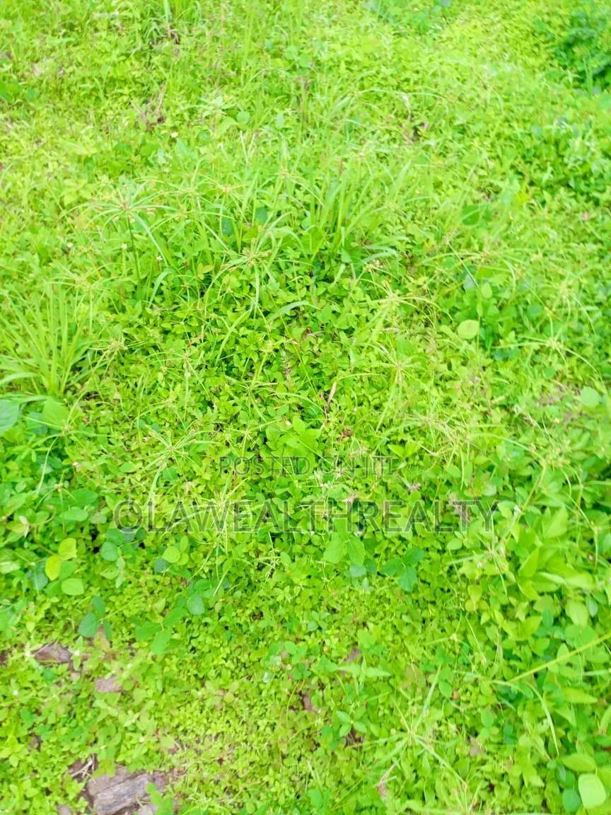 1,343sqm Residential Plot at Guzape in Guzape District