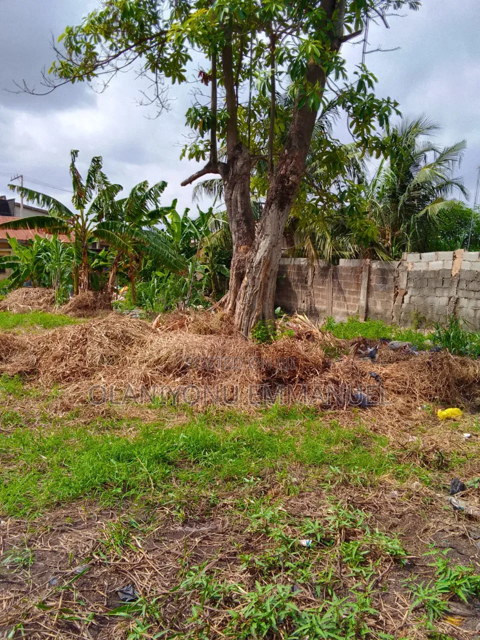 A Full Plot of Land in a Developed Environment in Haruna Ogba,Ikeja,. in Ogba