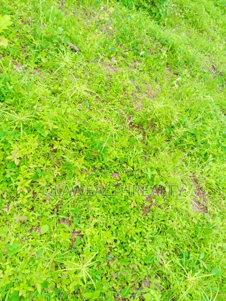 1,900sqm Residential Land at Asokoro Extension in Asokoro