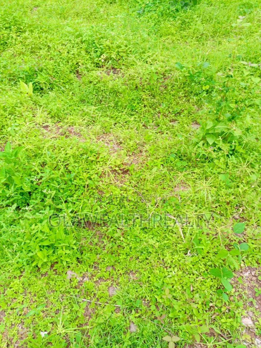 1,900sqm Residential Land at Asokoro Extension in Asokoro