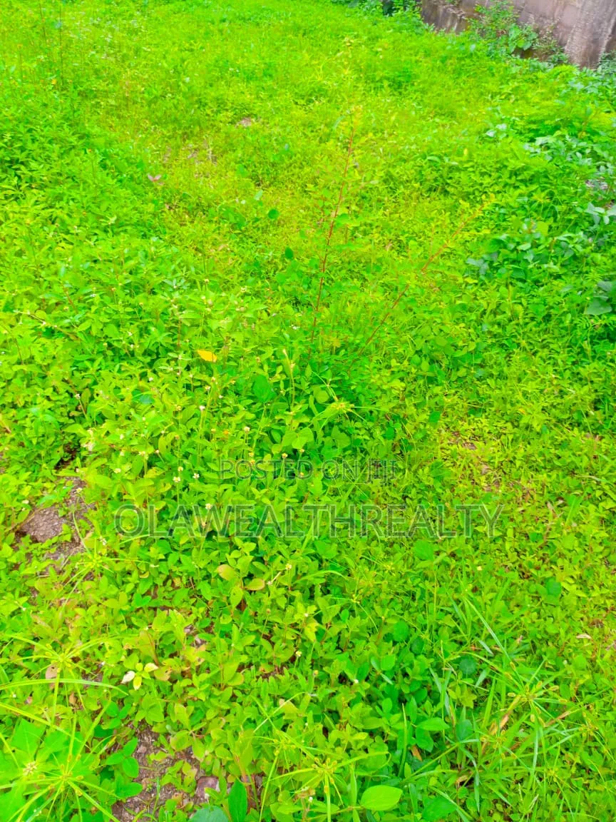 3,000sqm Residential Land at Asokoro Extension in Asokoro