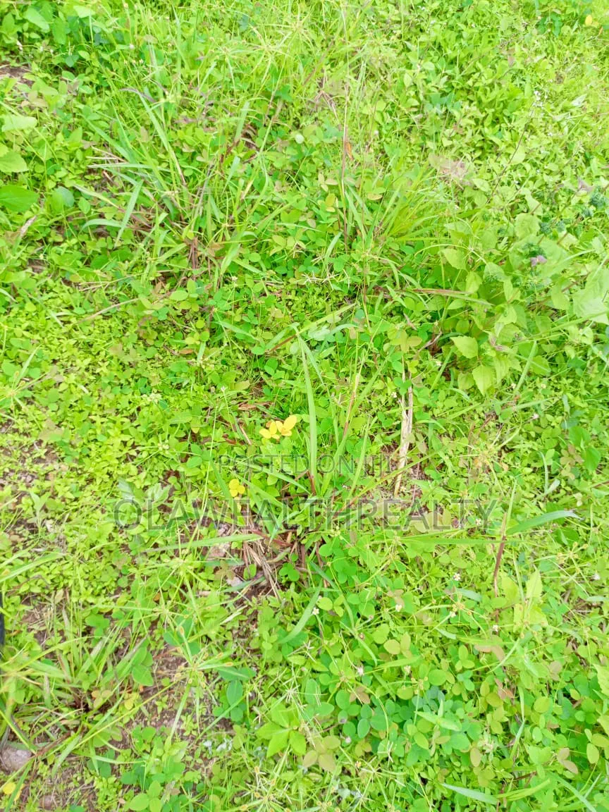3,000sqm Residential Land at Asokoro Extension in Asokoro