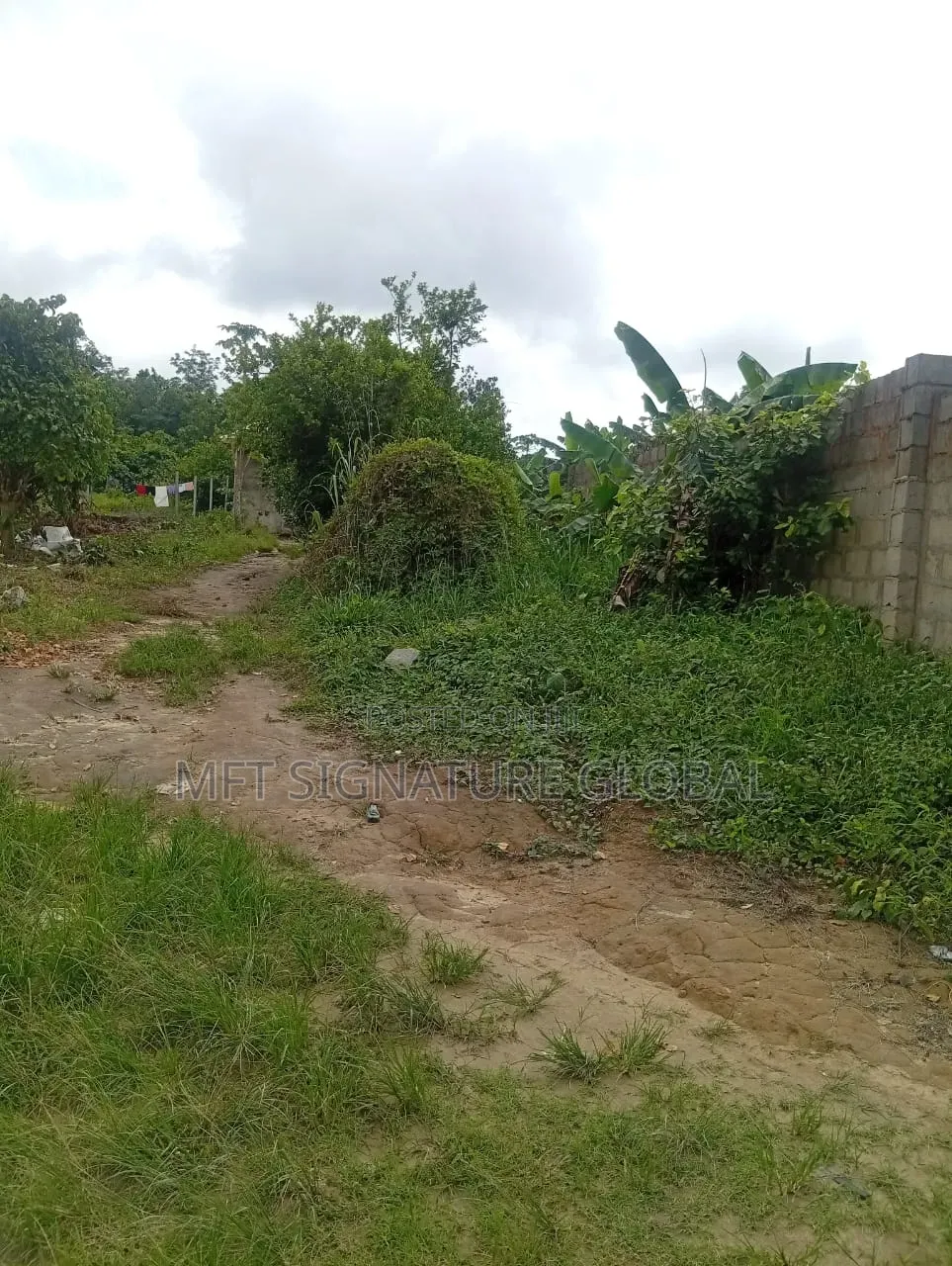 4 Plots of Farm Land in Epe
