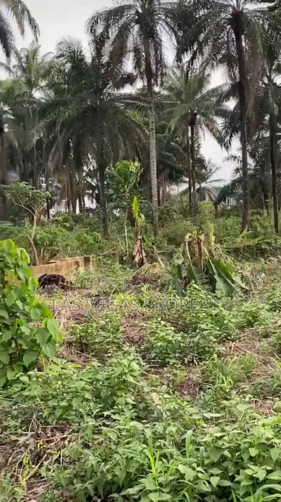 One Full Plot of Land With Dwarf Fence Advantage and Federal Light in Owerri