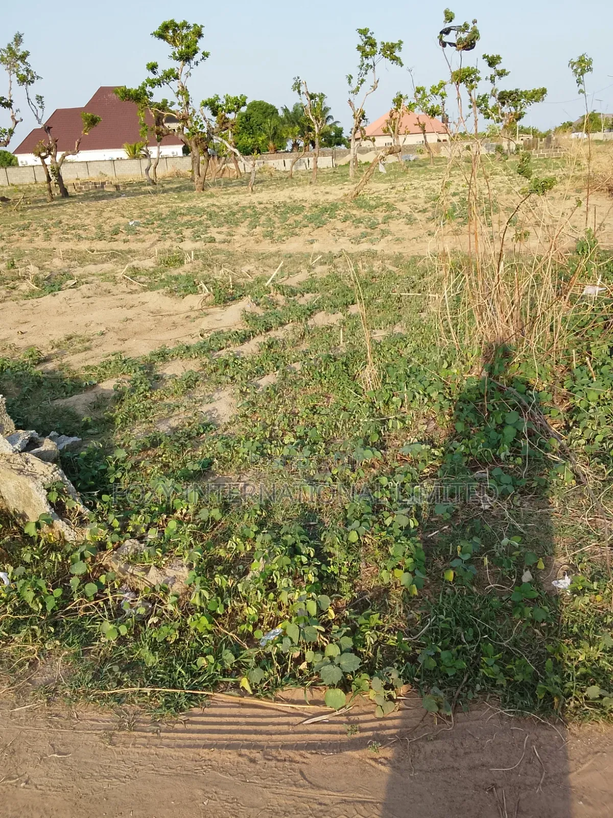 100 Hectares Land at Guzape 2 for Sale in Guzape District