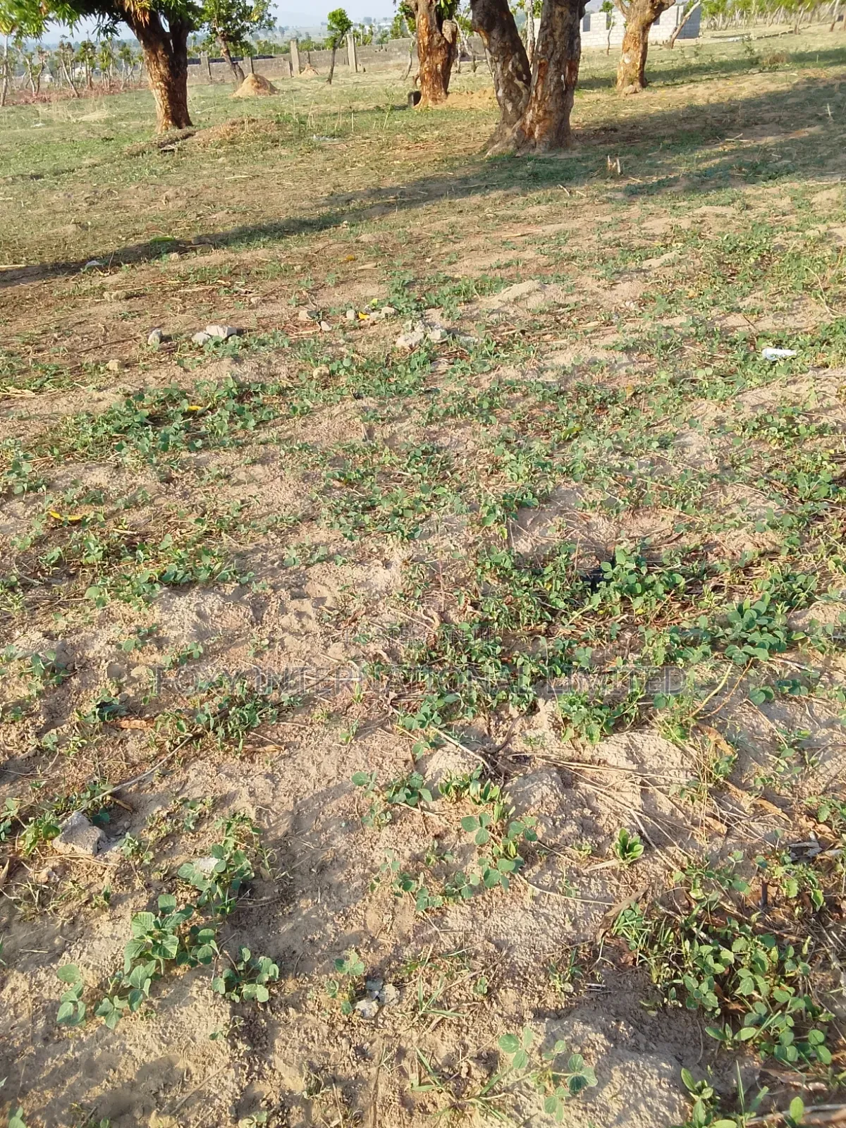 100 Hectares Land at Guzape 2 for Sale in Guzape District
