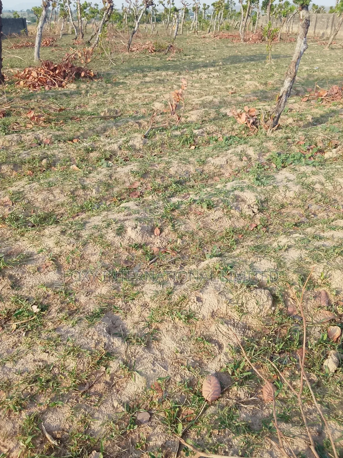 100 Hectares Land at Guzape 2 for Sale in Guzape District