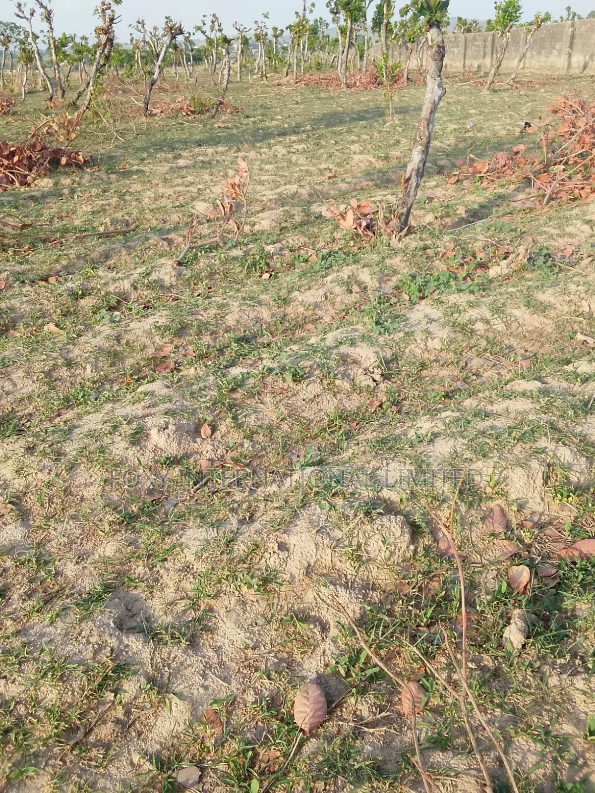 Apo Gudu 200 Hectares of Land for Sale in Apo Resettlement