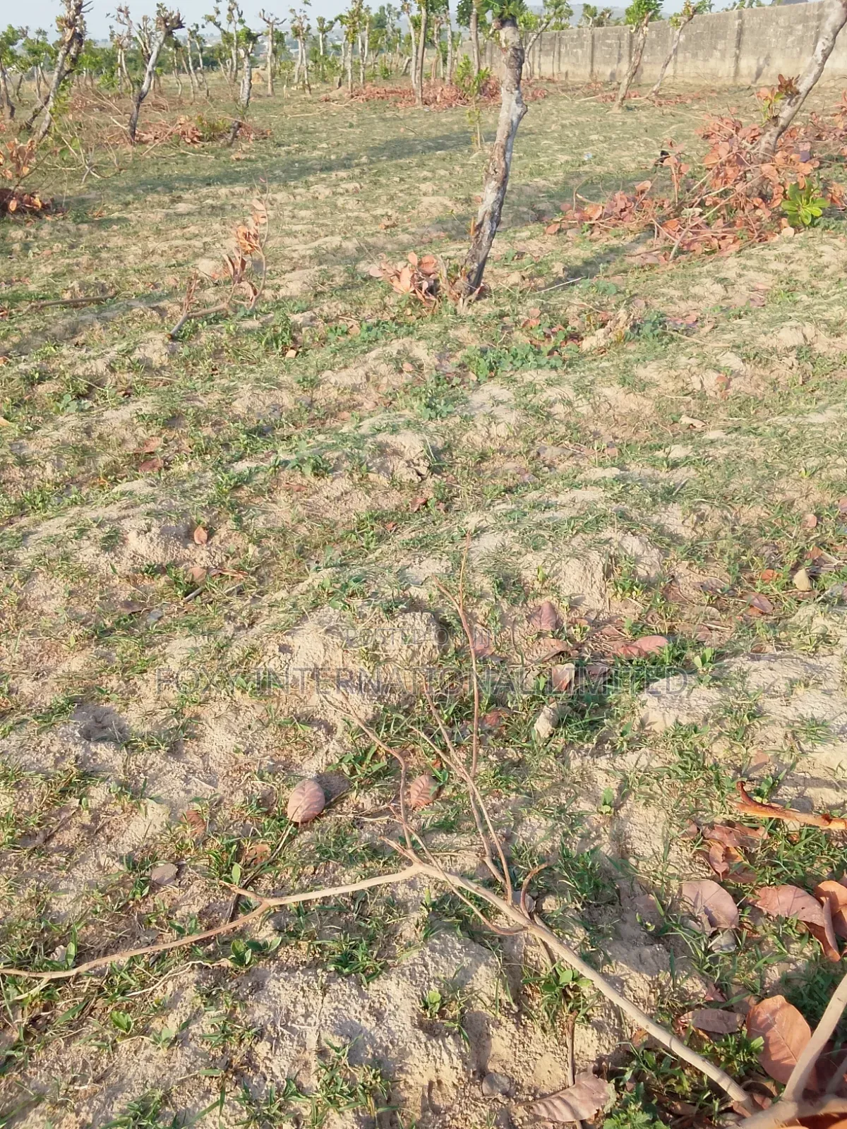 Apo Gudu 200 Hectares of Land for Sale in Apo Resettlement