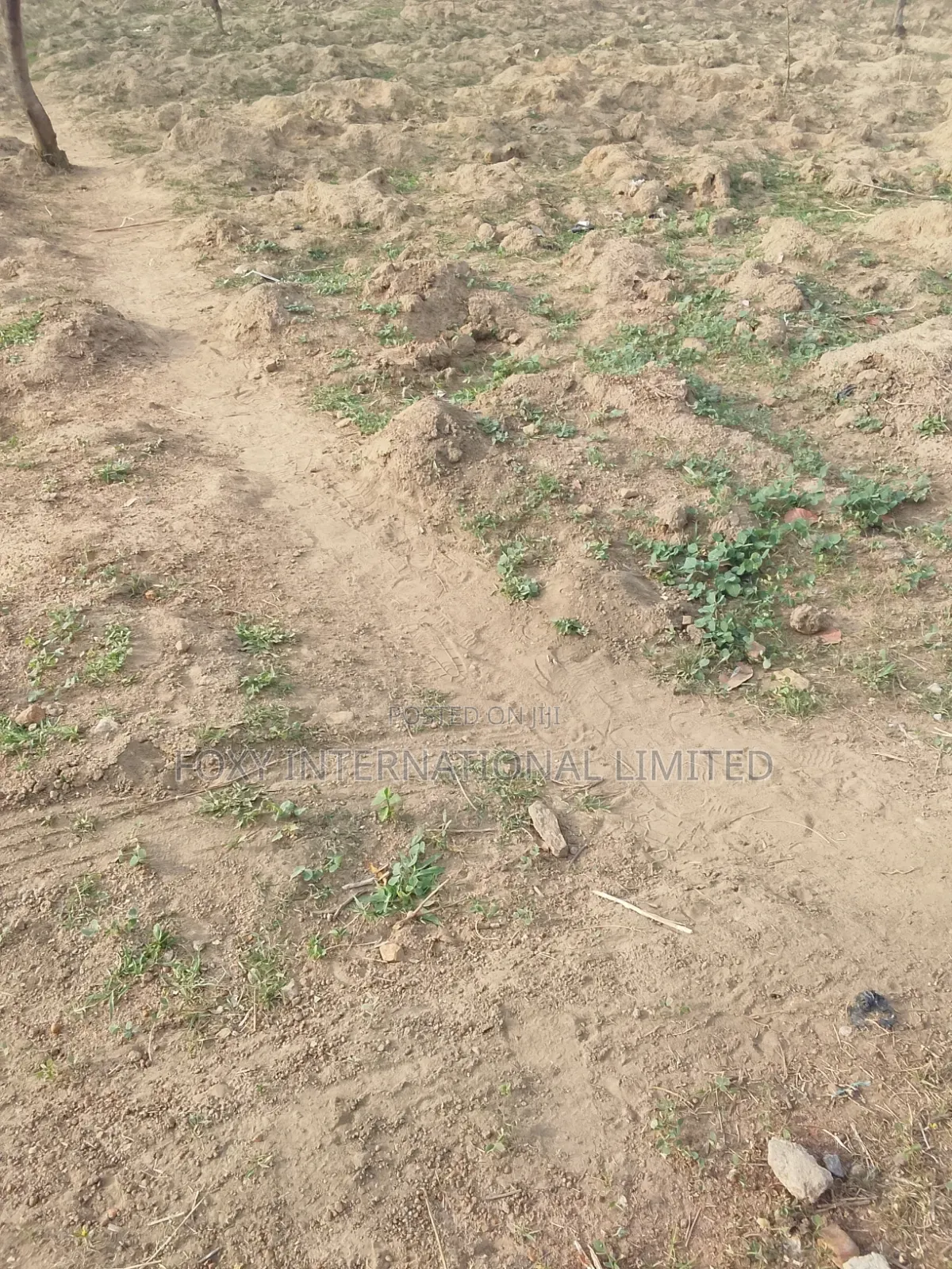 2340sqm Asokoro Main for Sale in Asokoro