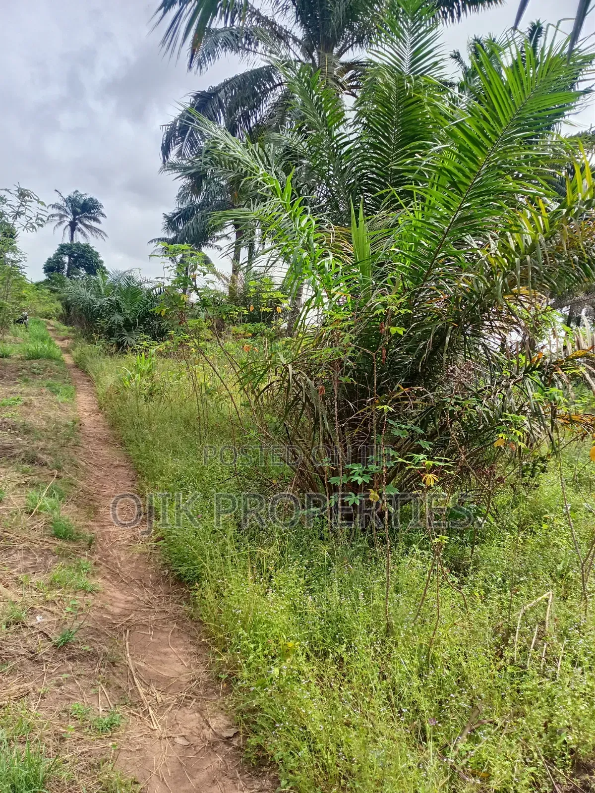 Landed Property in Owerri