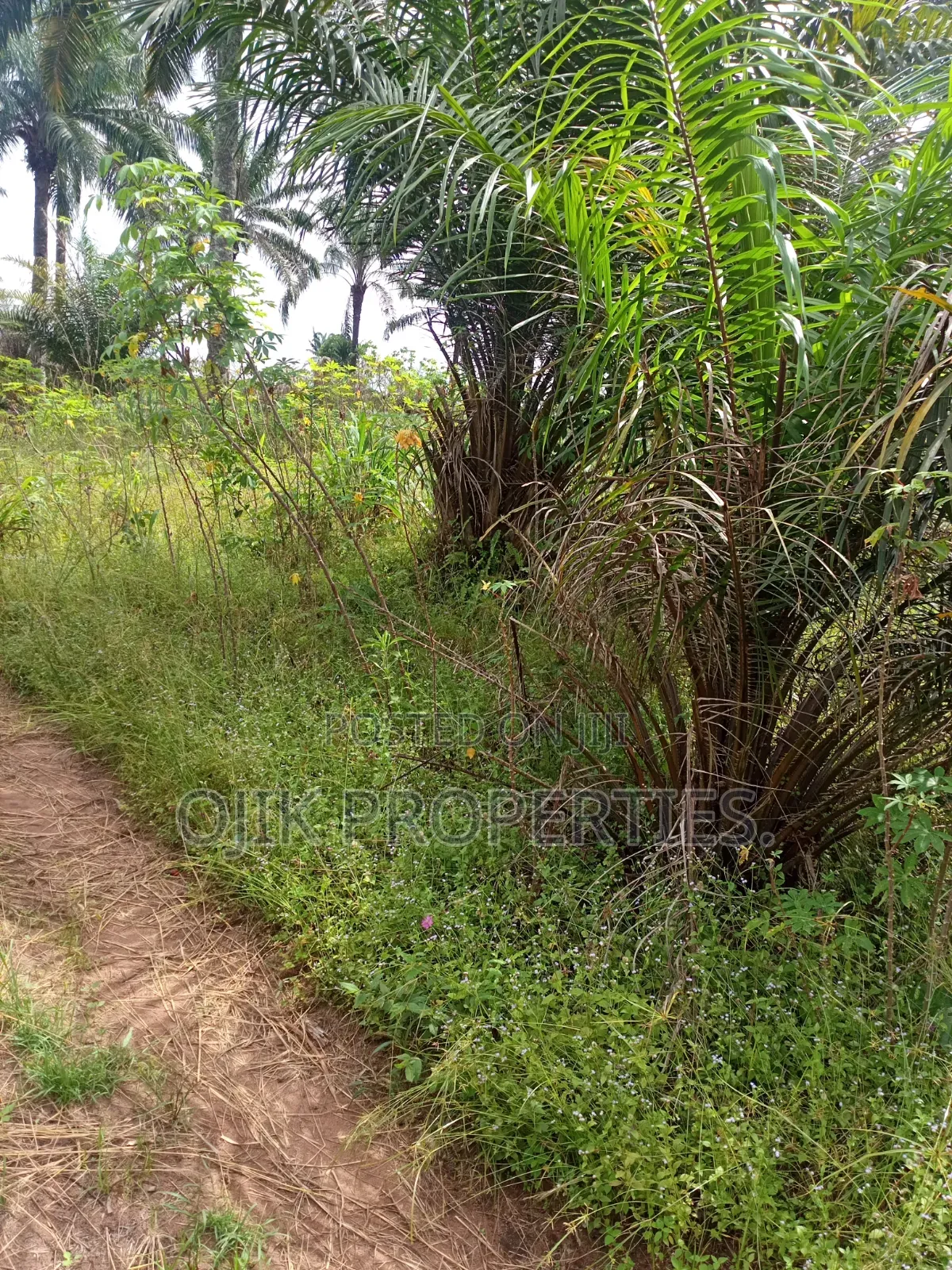 Landed Property in Owerri