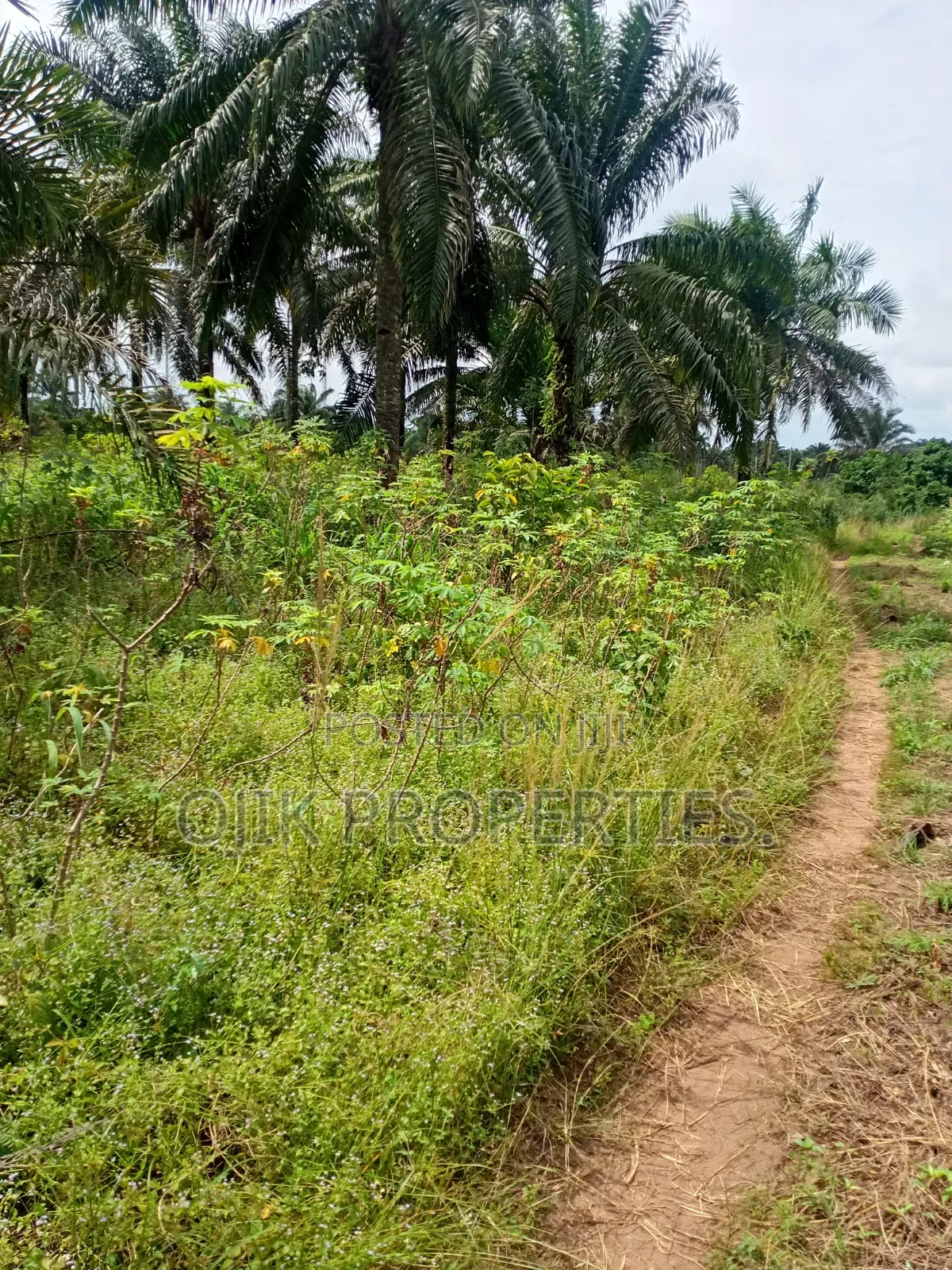 Landed Property in Owerri