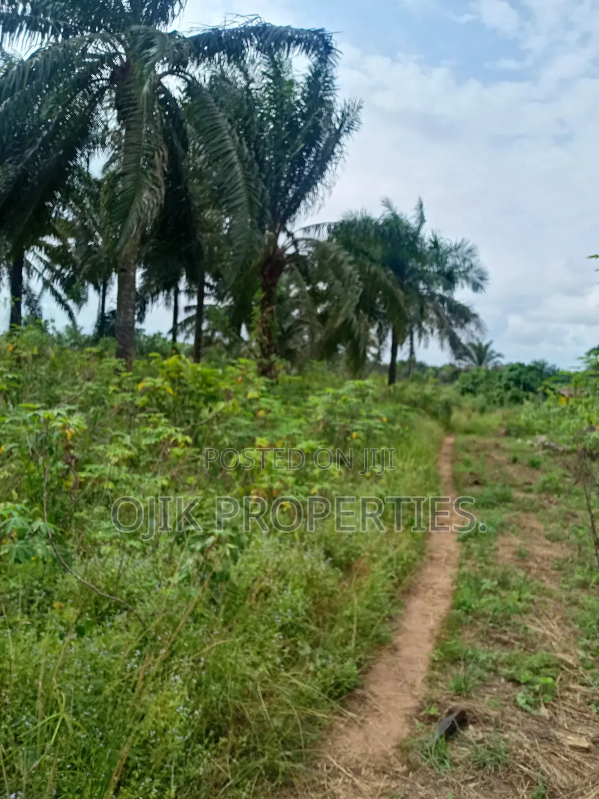 Landed Property in Owerri