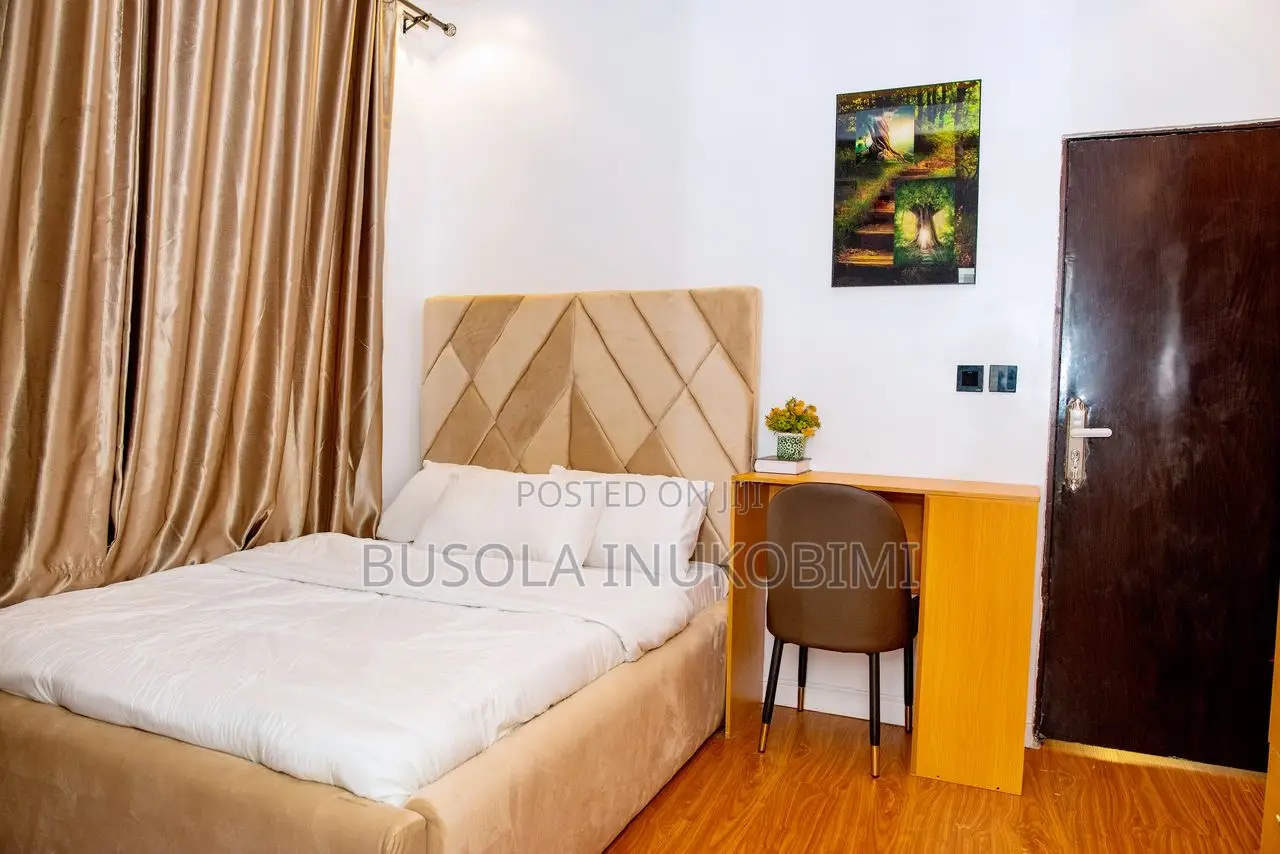 Spacious One Bedroom Apartment in Sabo / Yaba