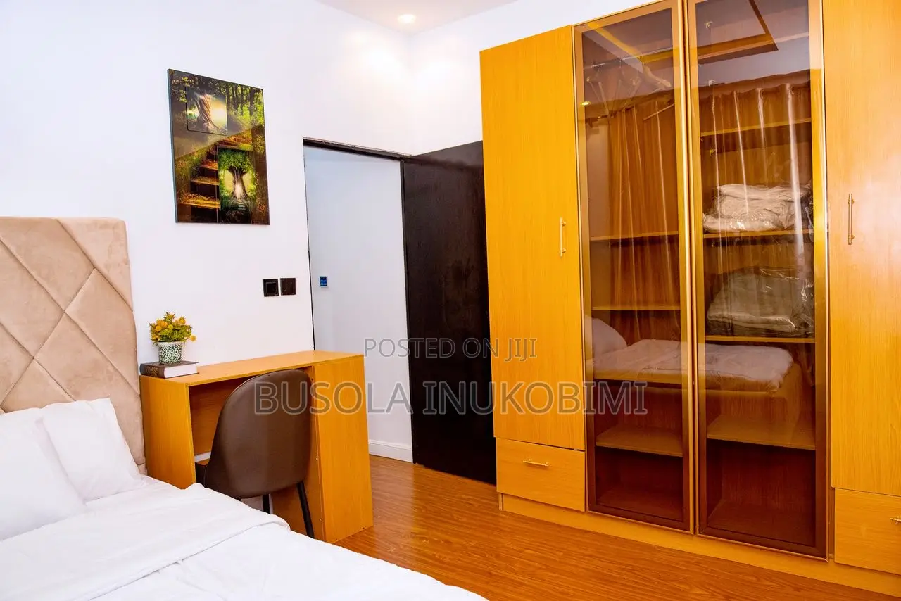 Spacious One Bedroom Apartment in Sabo / Yaba