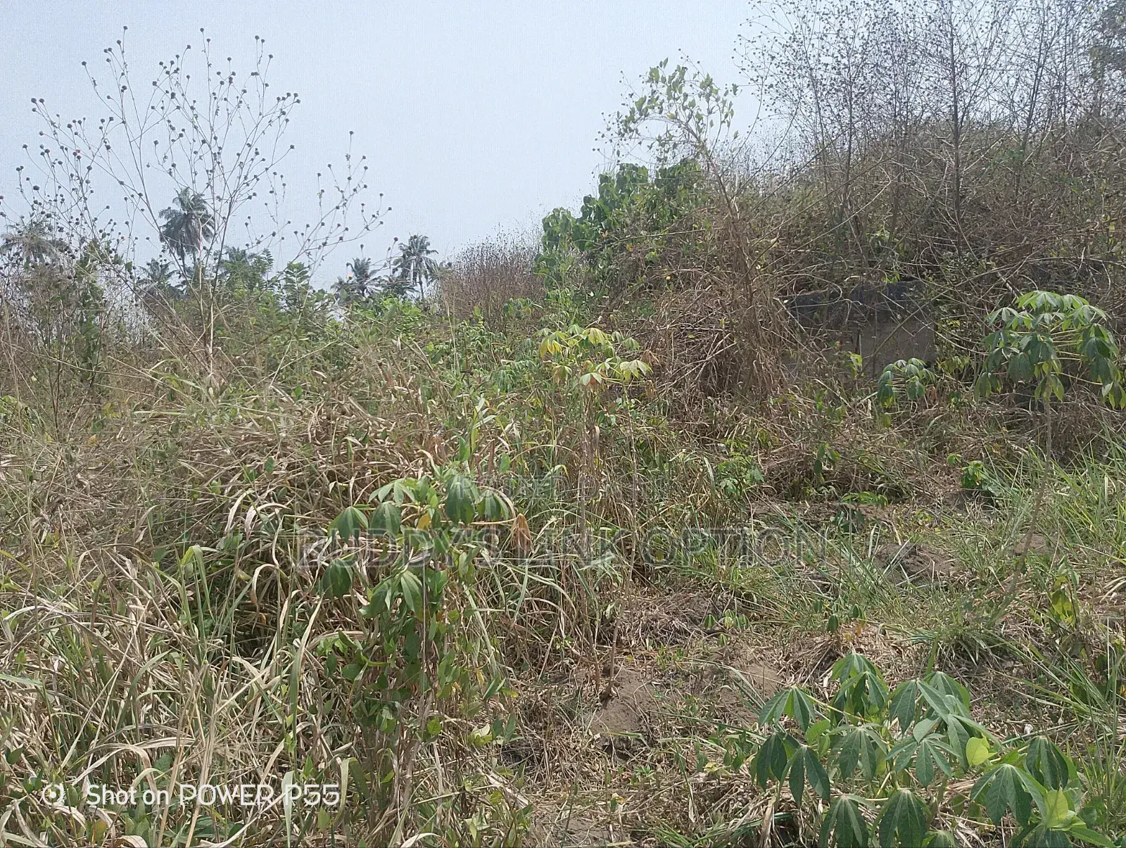 Plots of Land for Sale in Egbeda / Egbeda