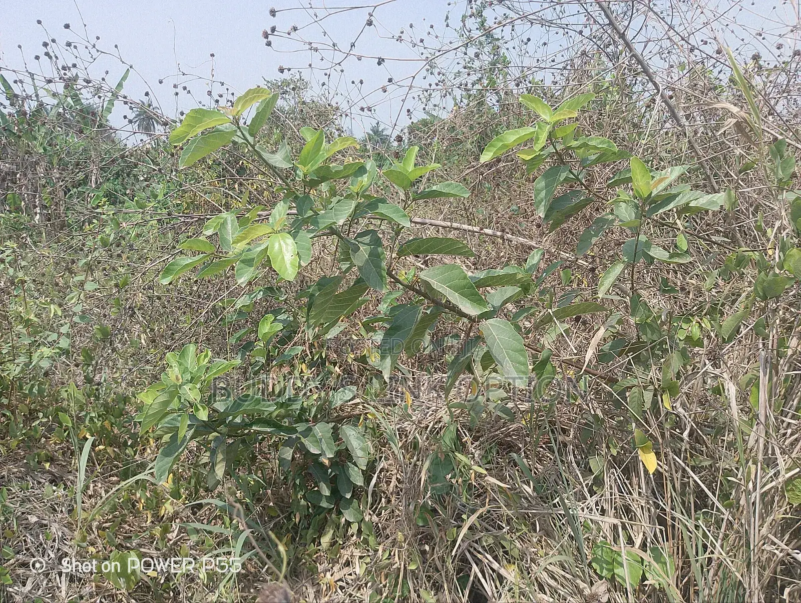 Plots of Land for Sale in Egbeda / Egbeda