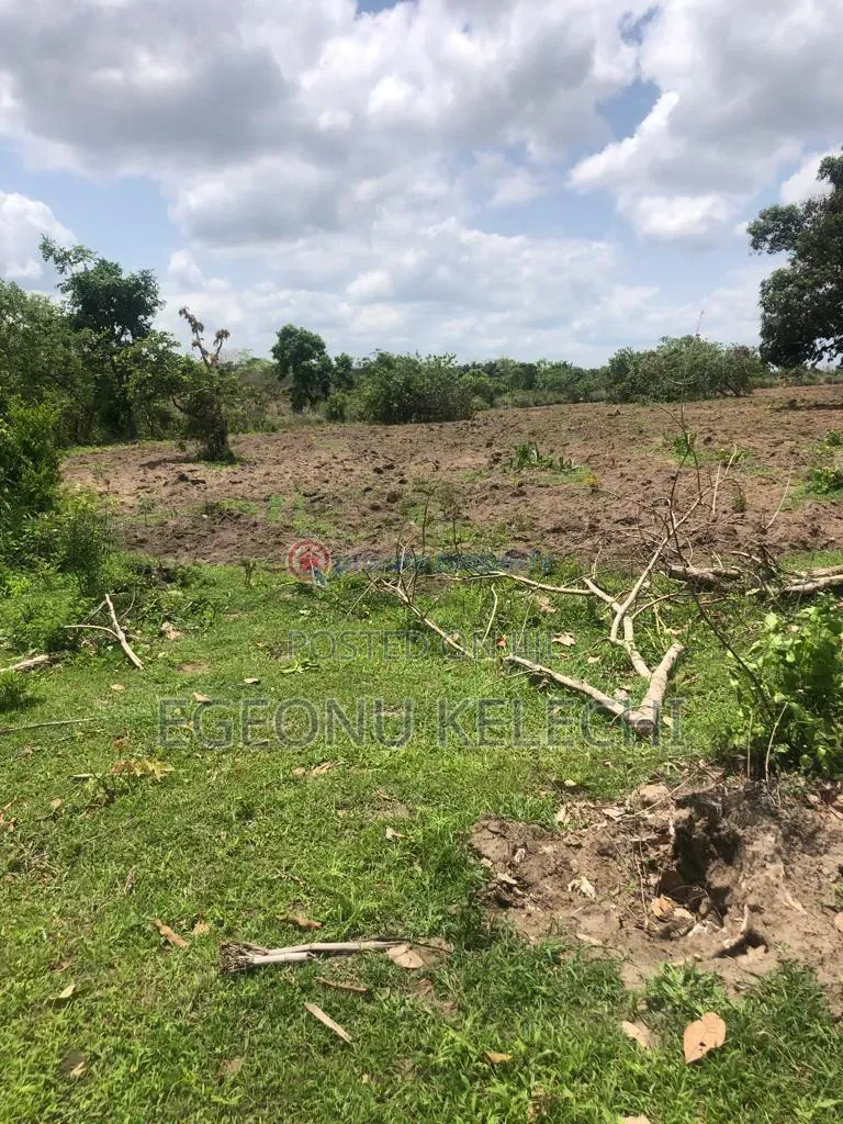 Land for Sale in Aniocha South