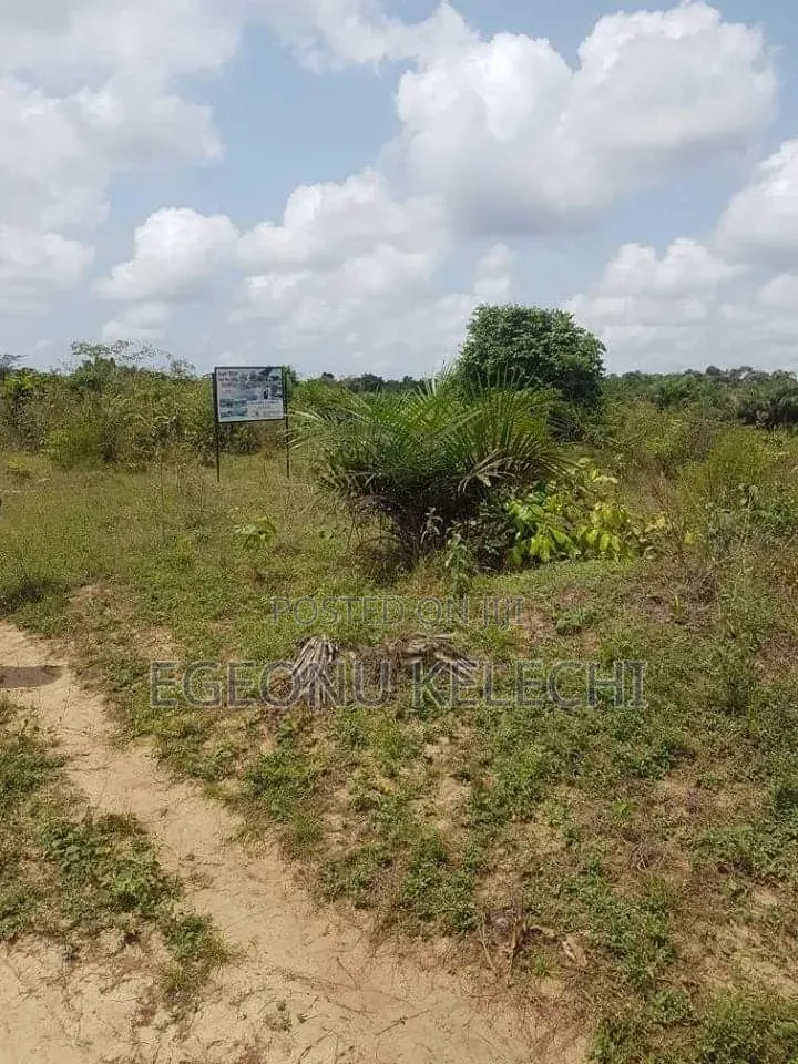 Land for Sale in Aniocha South