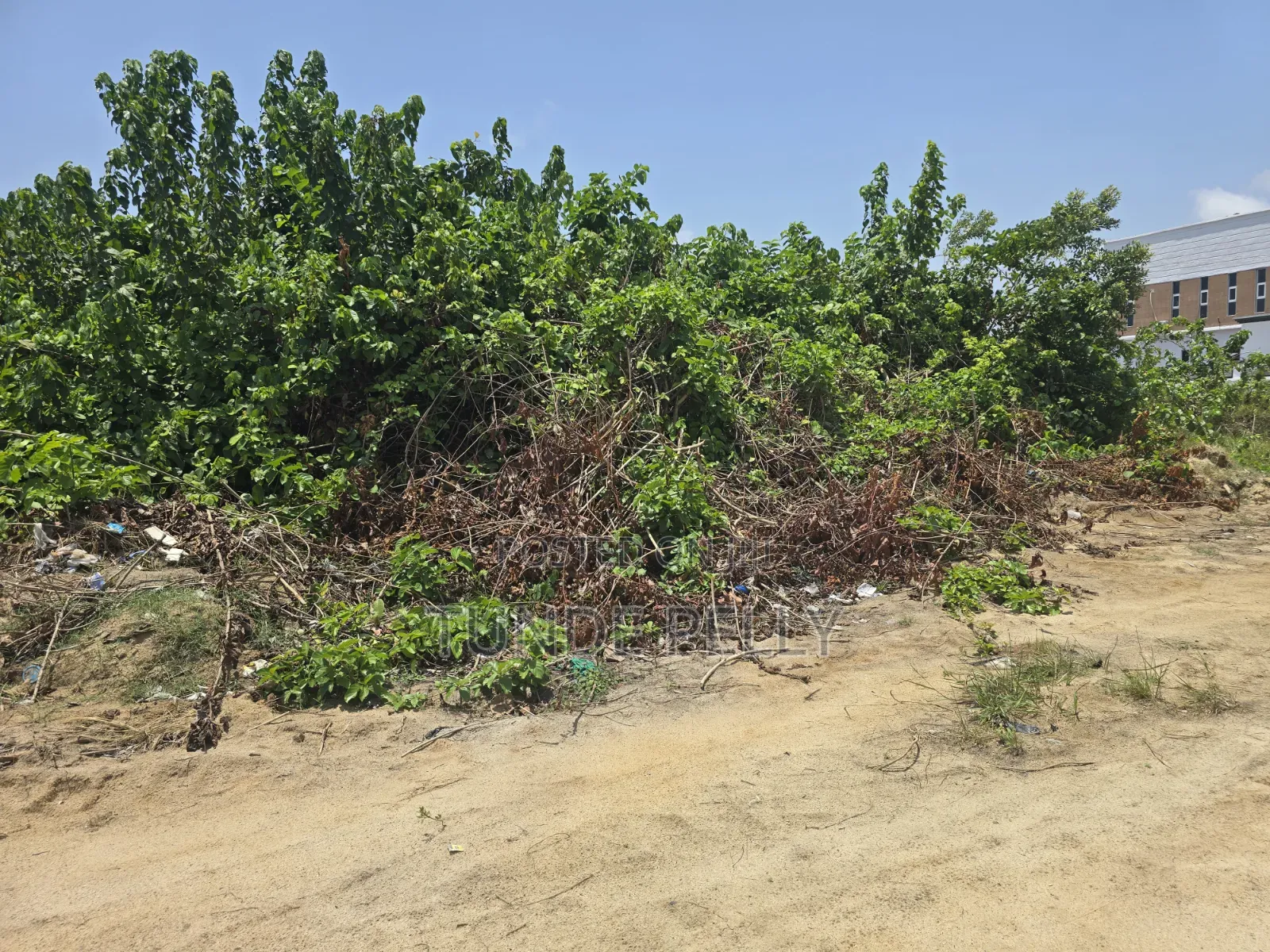 Buy and Build Within an Estate in Sangotedo