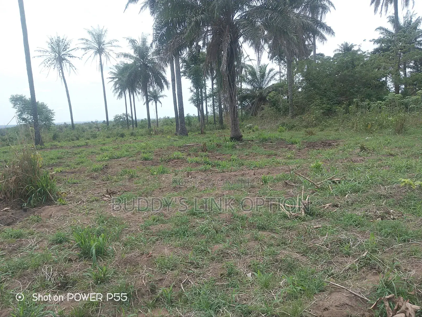 Plots of Land for Sale in Egbeda / Egbeda