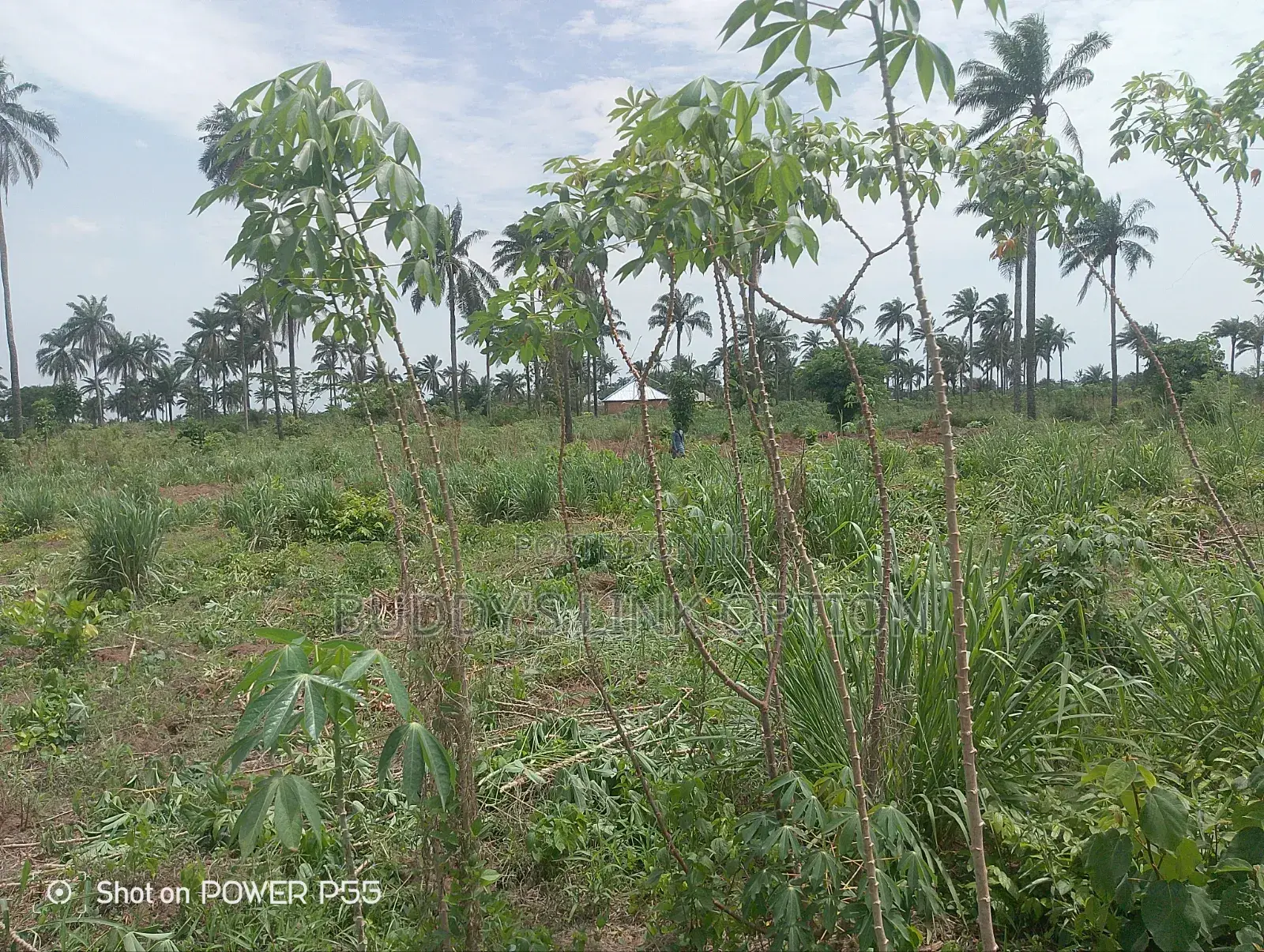 Plots of Land for Sale in Egbeda / Egbeda