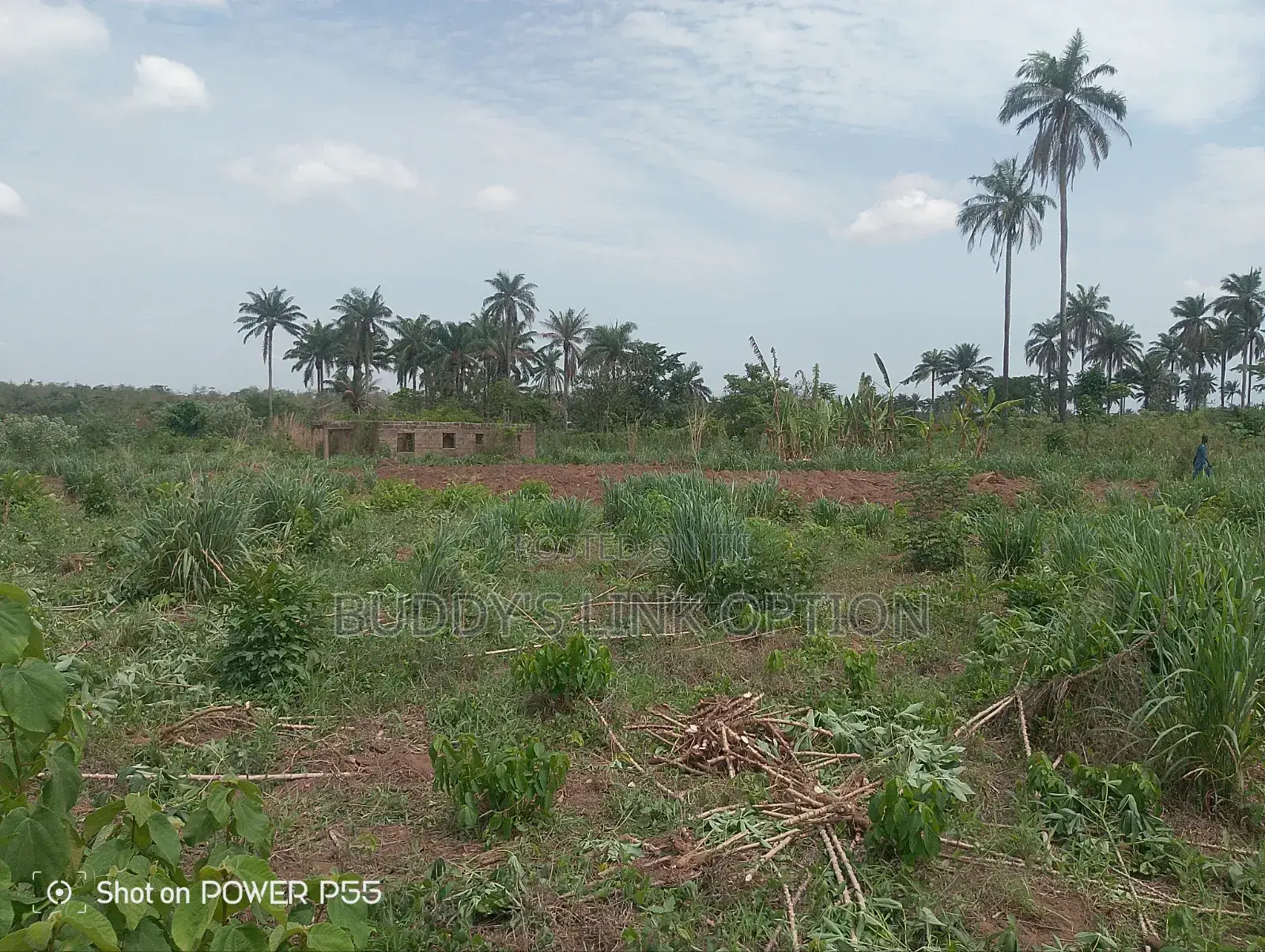 Plots of Land for Sale in Egbeda / Egbeda