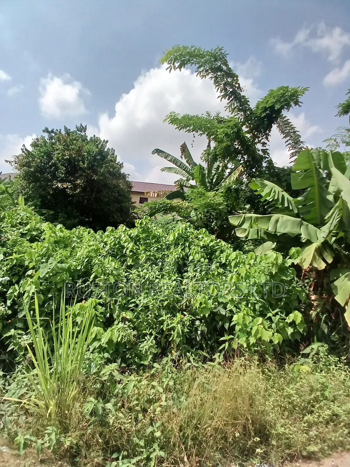 Land Measuring About 460sm in Adeoyo