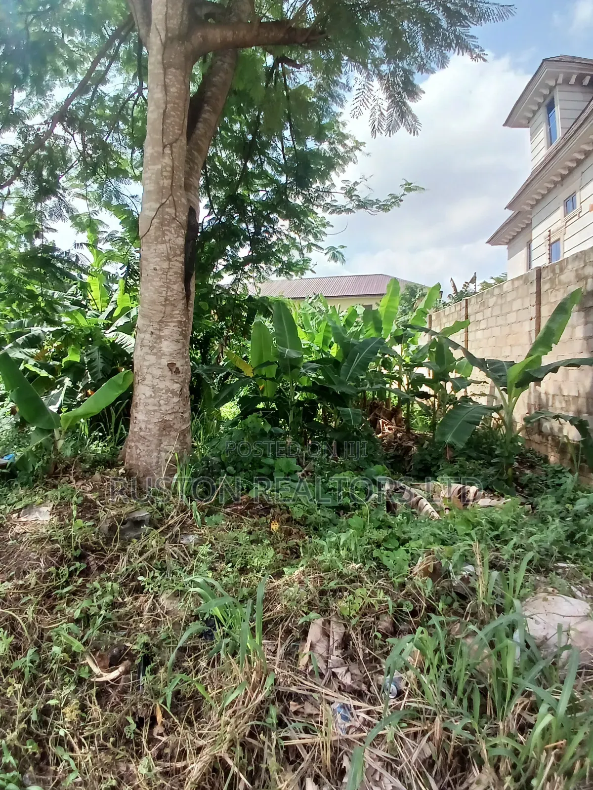 Land Measuring About 460sm in Adeoyo