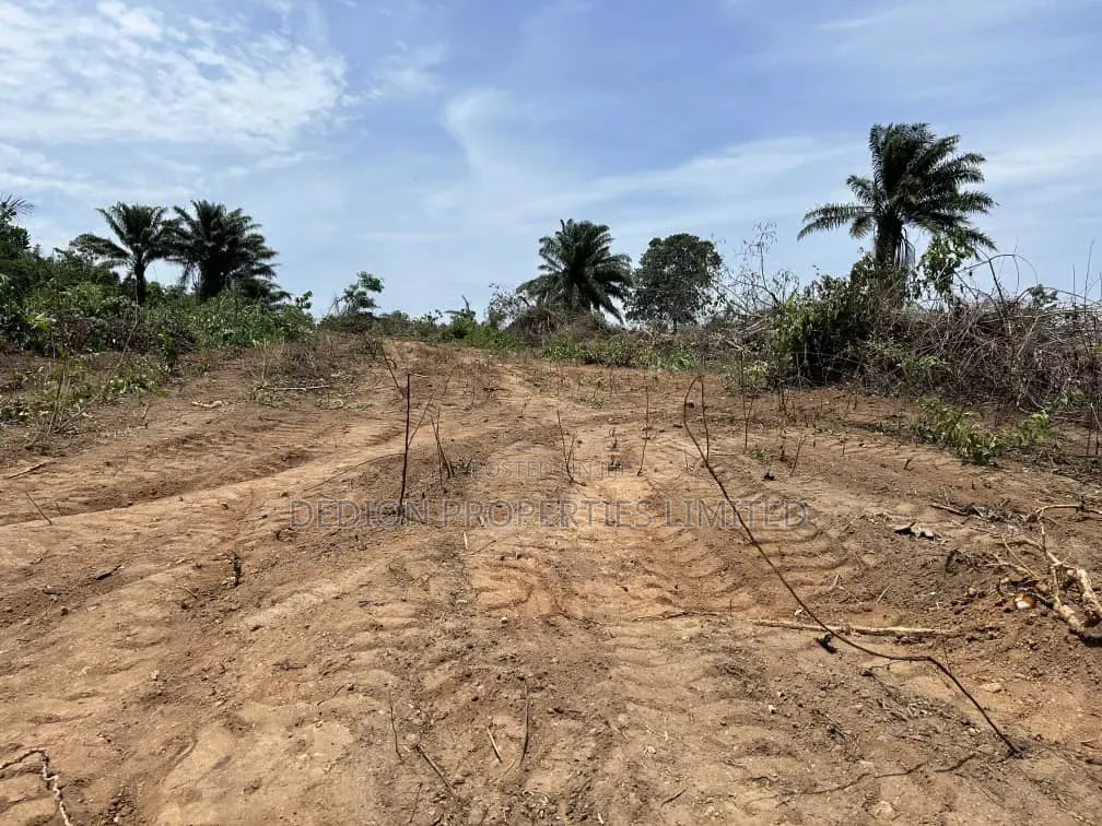Aiyetoro(Beside) Lekki International Airport Land With C Of O in Off Lekki-Epe Expressway
