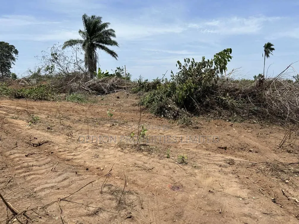 Aiyetoro(Beside) Lekki International Airport Land With C Of O in Off Lekki-Epe Expressway