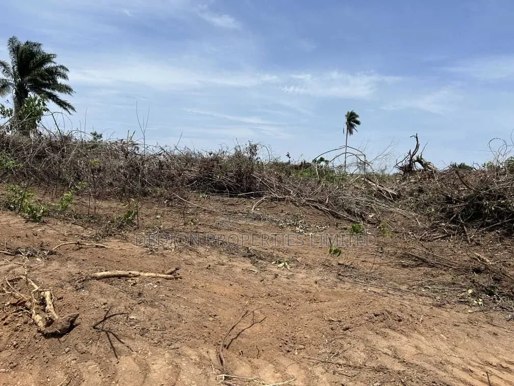 Aiyetoro(Beside) Lekki International Airport Land With C Of O in Off Lekki-Epe Expressway