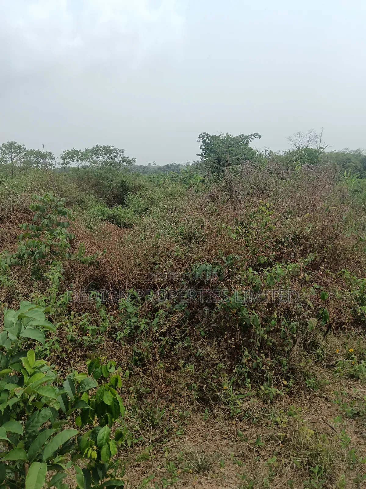 Awoyaya Land With Gazette, Deed Of Assignment And Registered Survey in Off Lekki-Epe Expressway