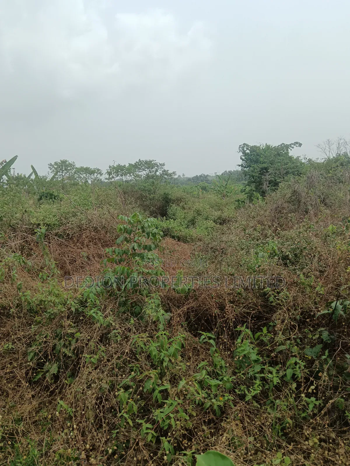 Awoyaya Land With Gazette, Deed Of Assignment And Registered Survey in Off Lekki-Epe Expressway