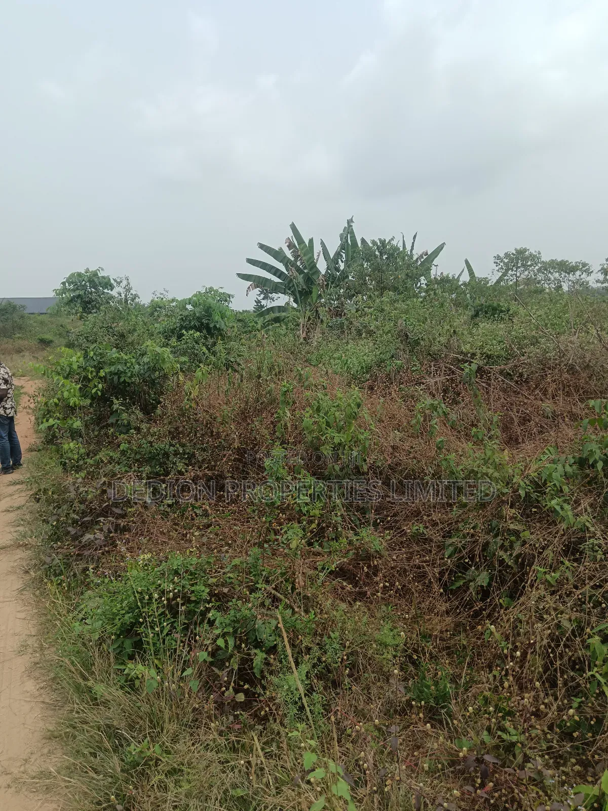 Awoyaya Land With Gazette, Deed Of Assignment And Registered Survey in Off Lekki-Epe Expressway