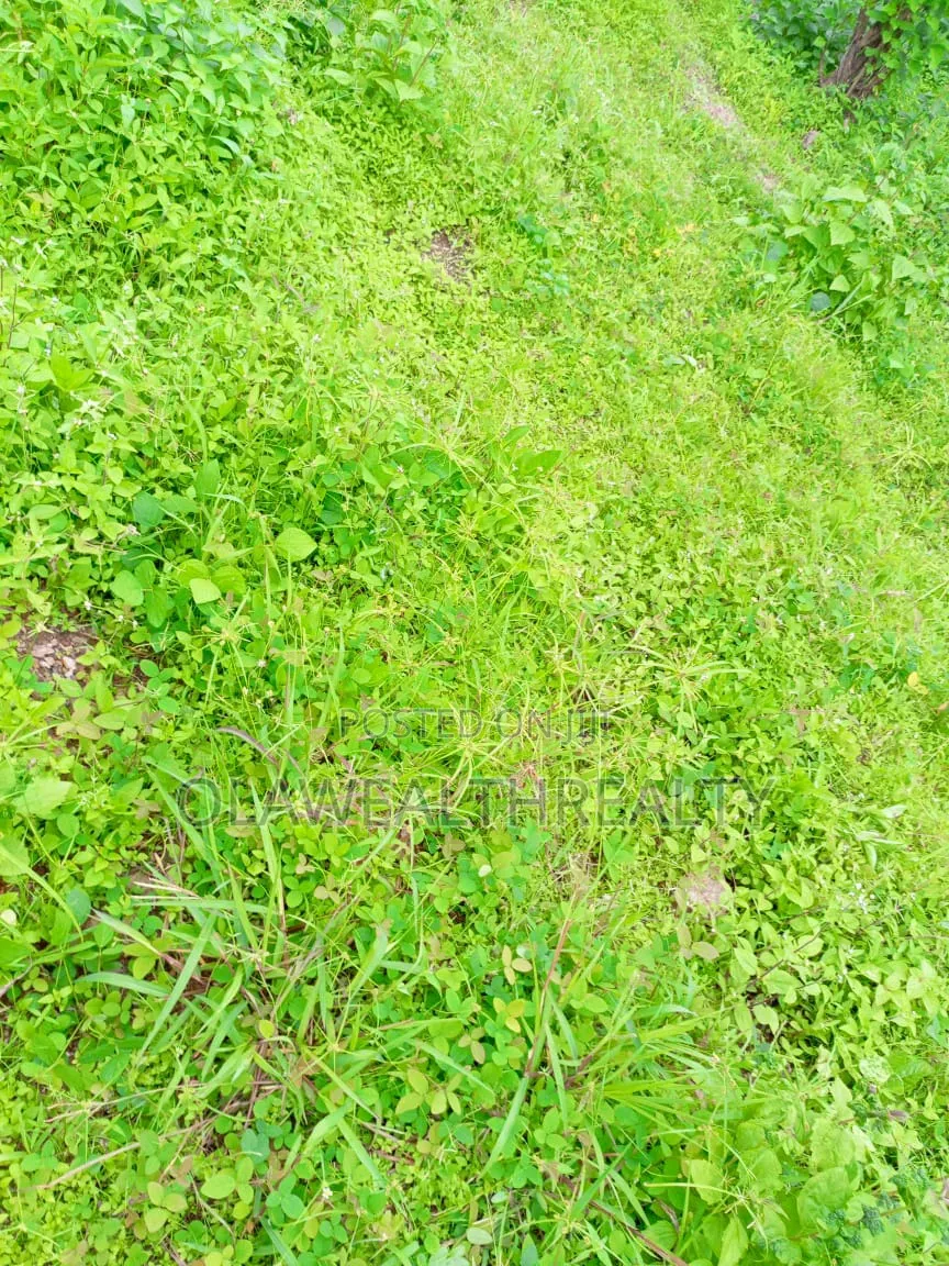 1,473sqm Residential Land at Apo Resettlement in Apo Resettlement