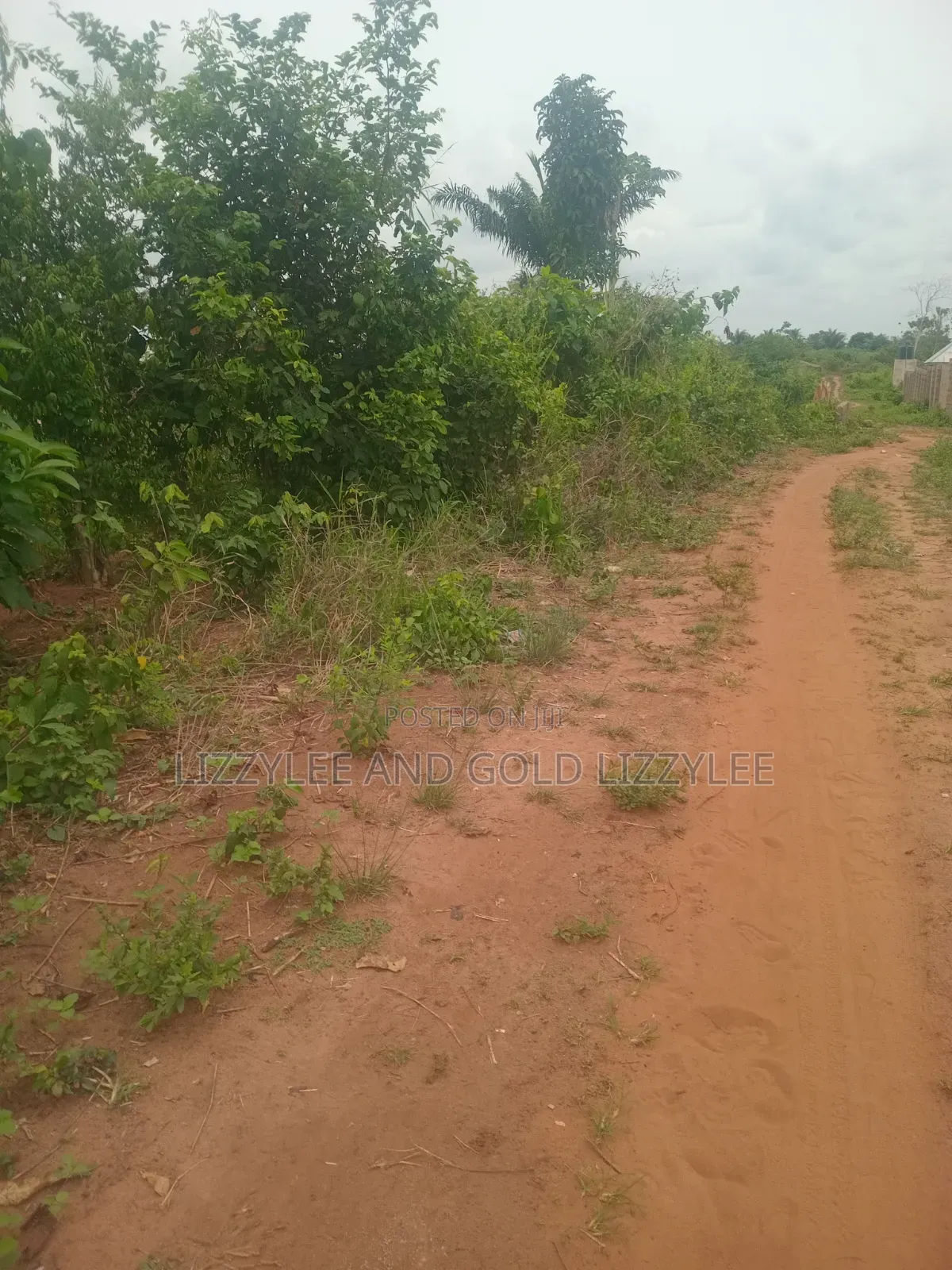 1 Acre of Land for Sale at 1.5m Per Plot in Agbowa