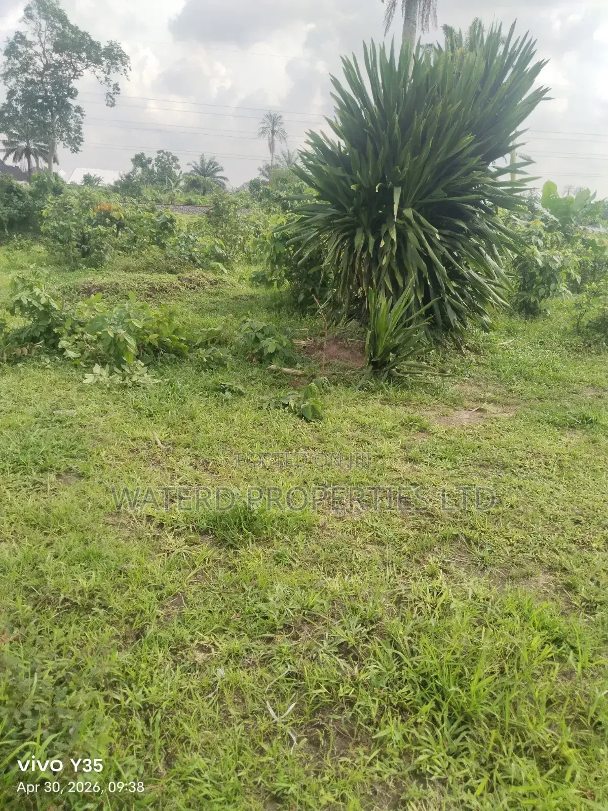 36 Plots of Land in Etche
