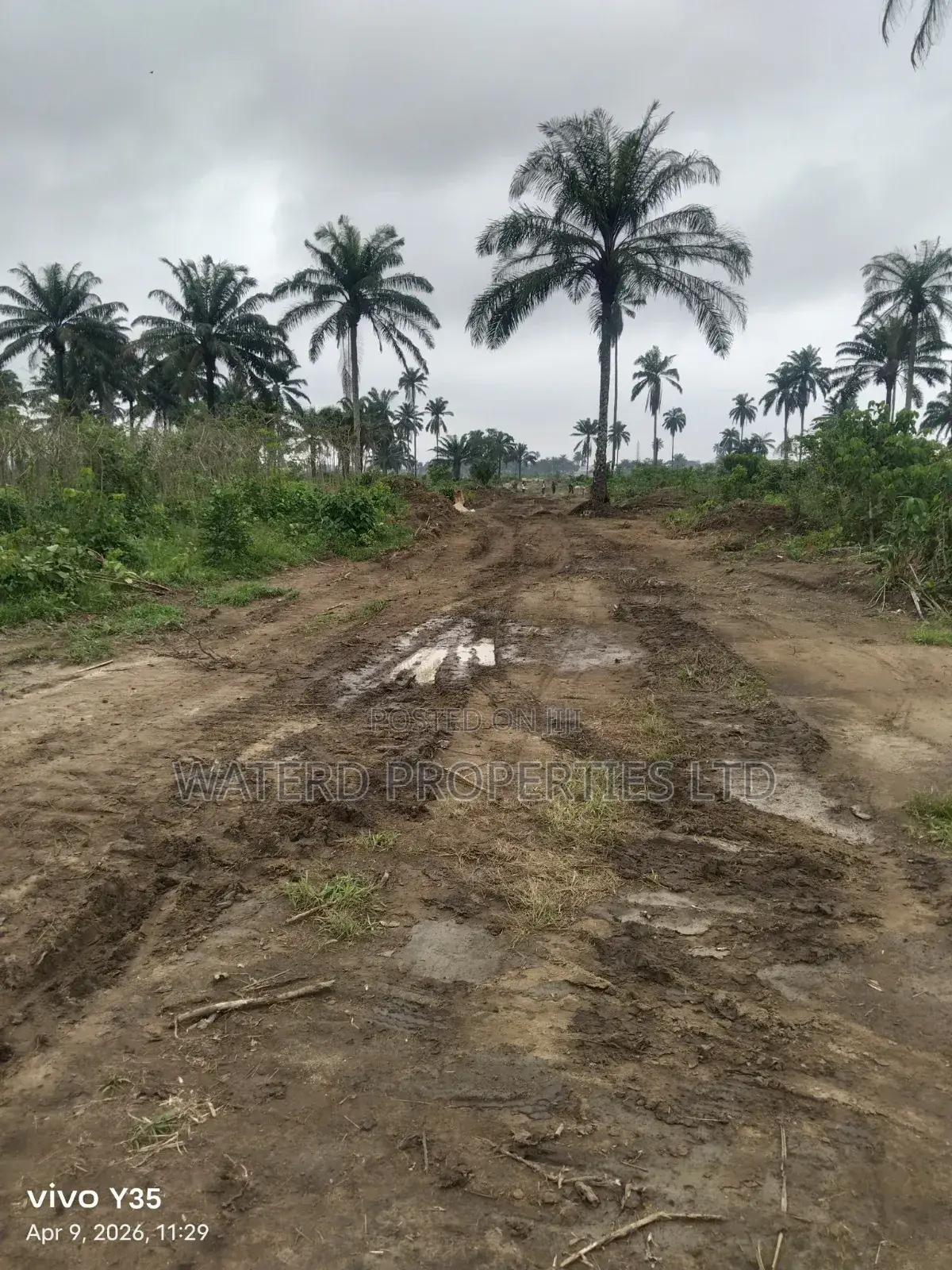 30 Plots Of Land At The Back Of Indoroma Akpajo. in Eleme