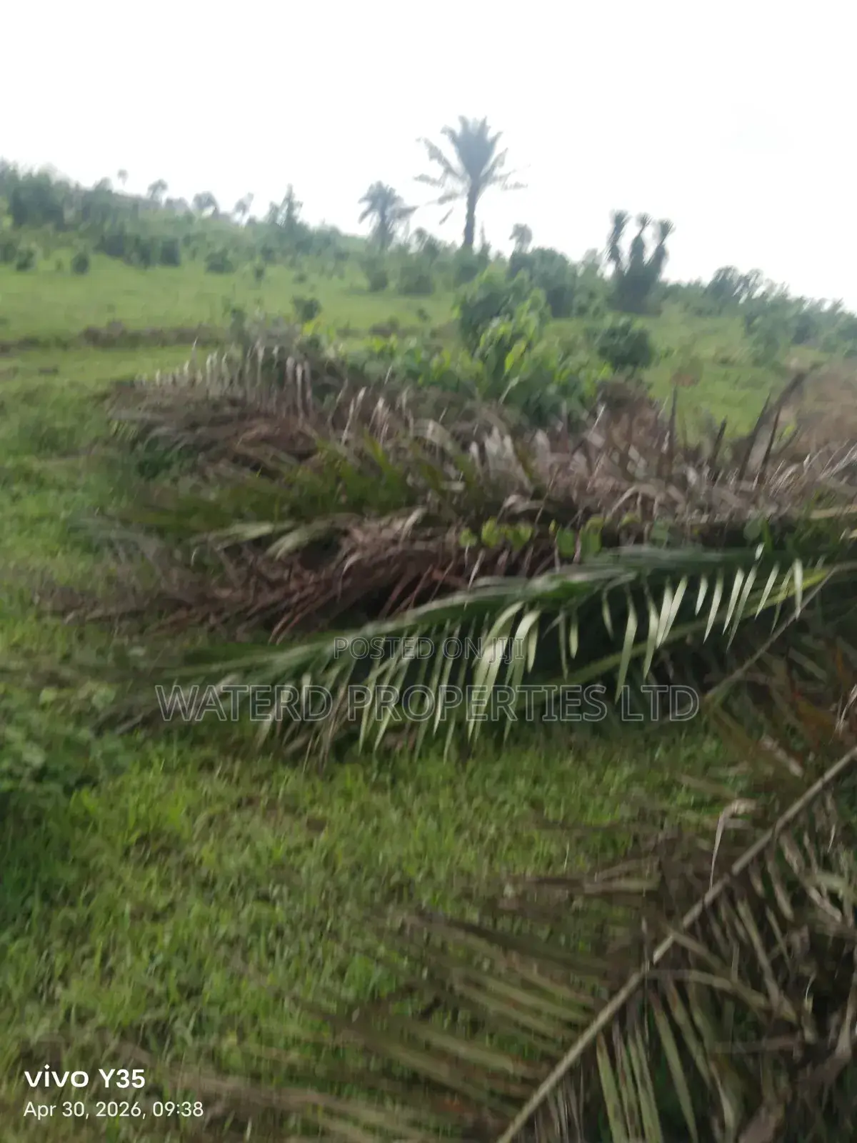 36 Plots of Land in Etche