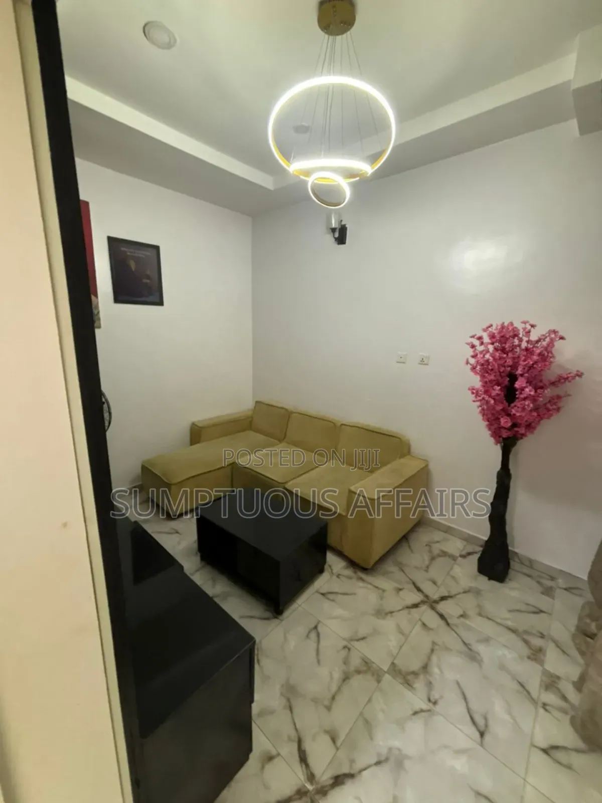 Furnished Mini Flat in Orchid Road, Lekki for rent in Lekki