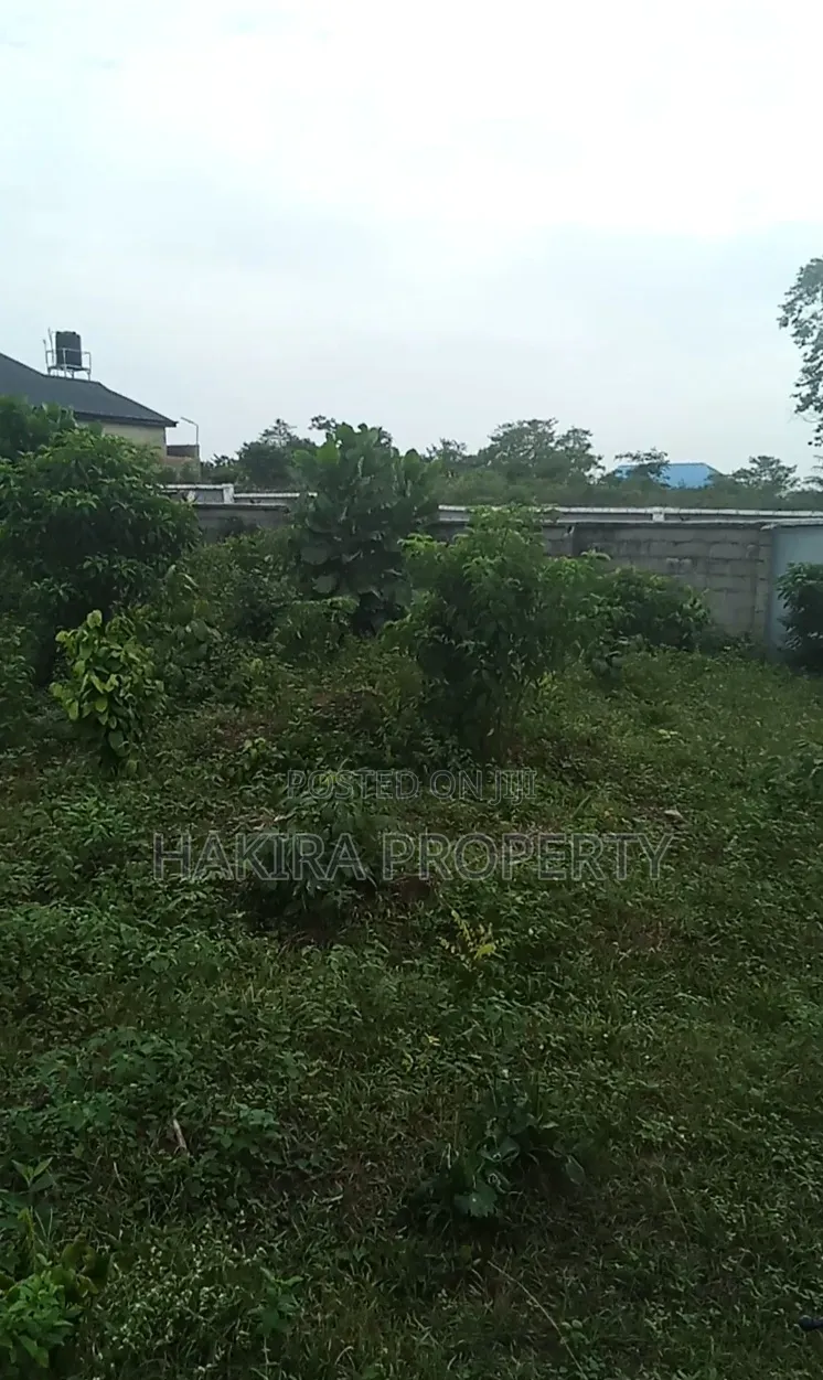 Cheap Plot of Land 60x120 at Igbokuta in Gberigbe