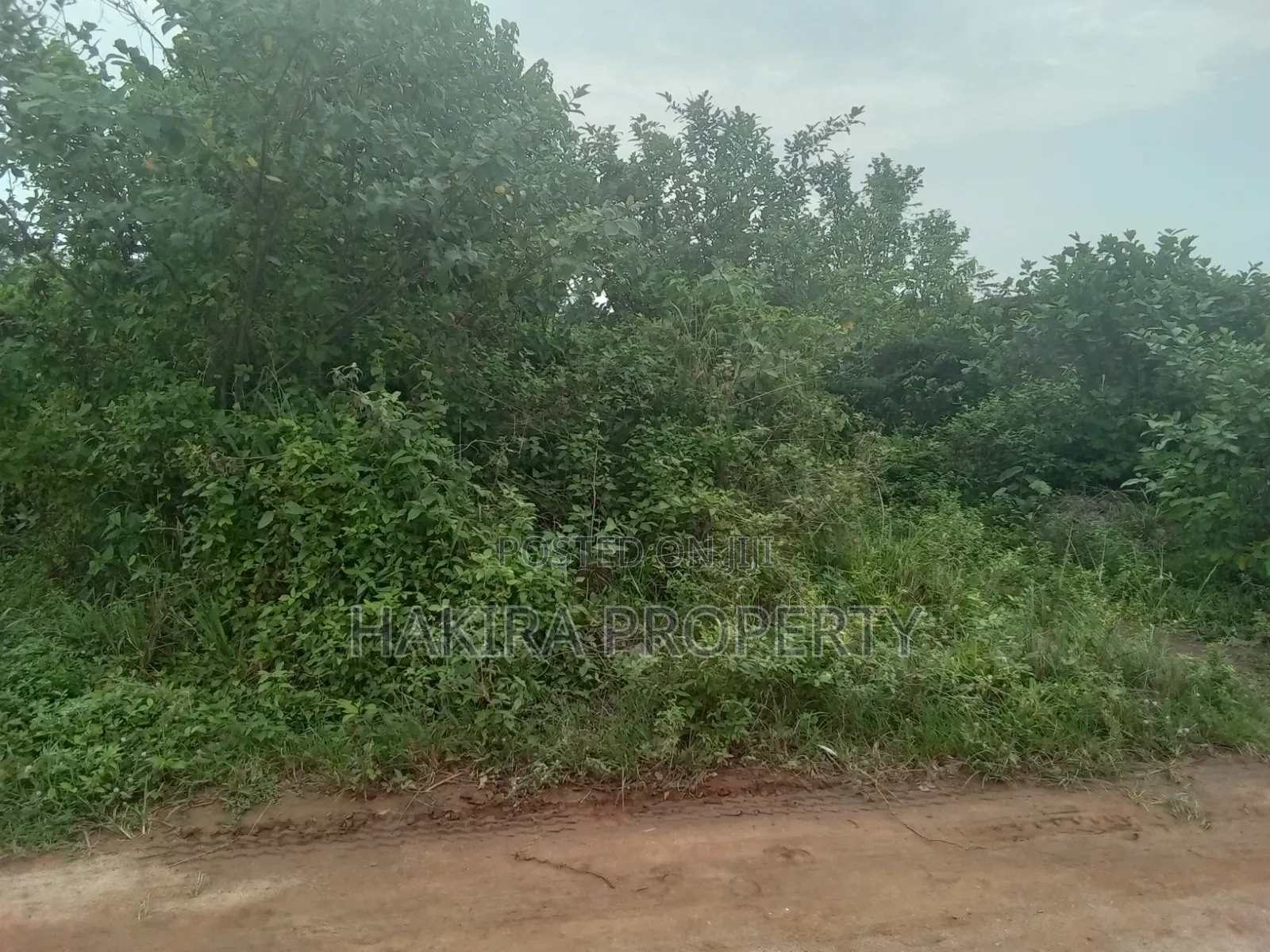 Cheap Plot of Land at Igbokuta in Gberigbe