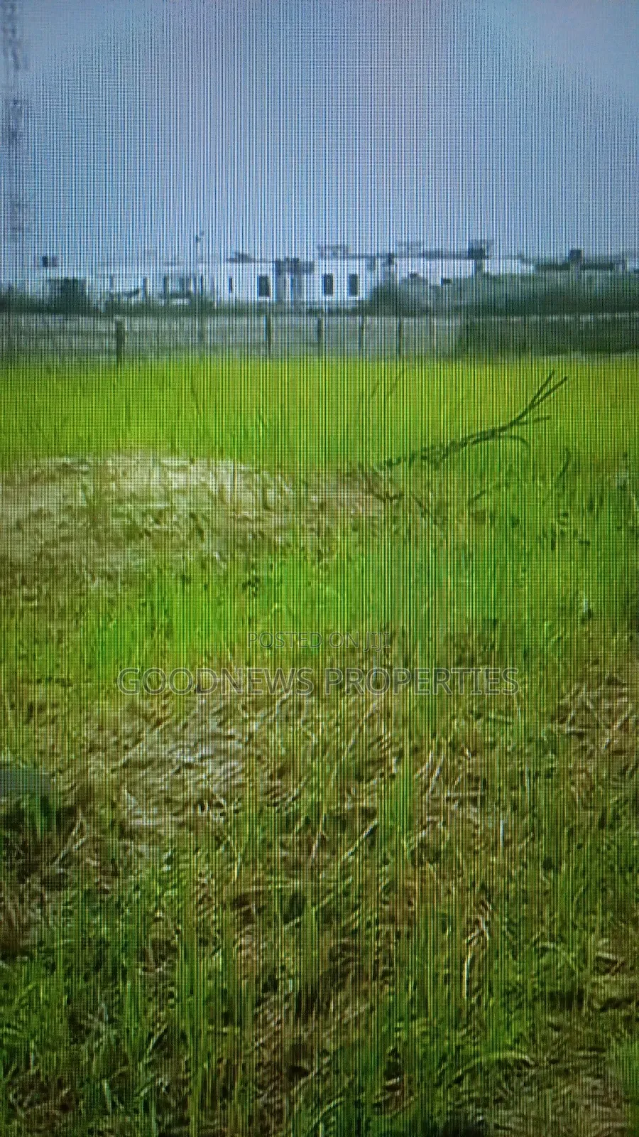5bdrm Bungalow in Ikorodu, Isiu for sale in Isiu