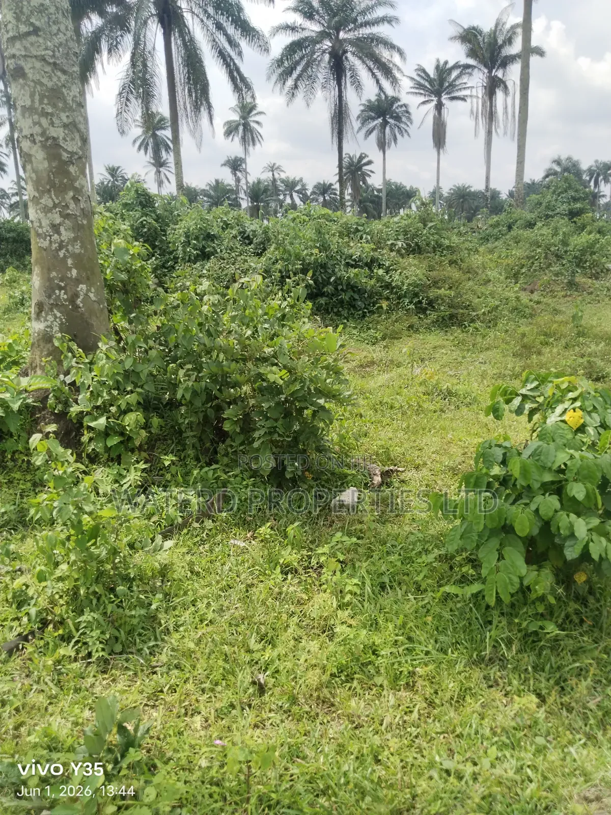 7 Plots of Land Off the Ring Road Akpajo in Eleme